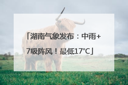 湖南气象发布：中雨+7级阵风！最低17℃
