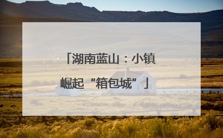 湖南蓝山：小镇崛起“箱包城”