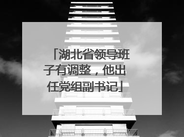 湖北省领导班子有调整，他出任党组副书记