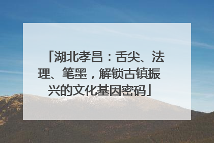 湖北孝昌：舌尖、法理、笔墨，解锁古镇振兴的文化基因密码