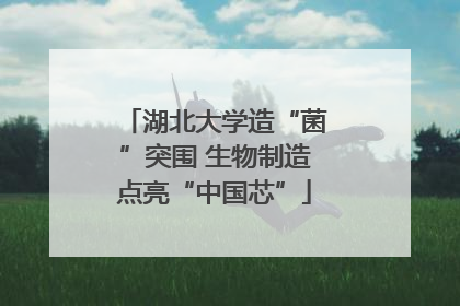 湖北大学造“菌”突围 生物制造点亮“中国芯”