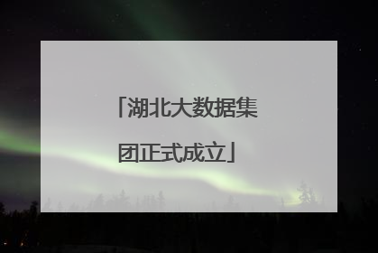 湖北大数据集团正式成立