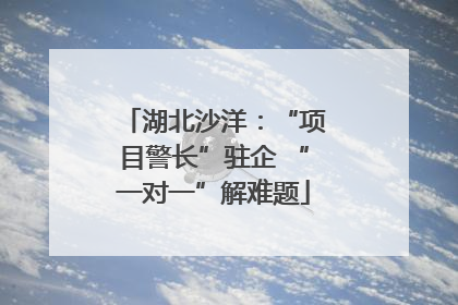 湖北沙洋：“项目警长”驻企 “一对一”解难题