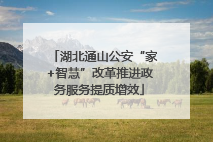 湖北通山公安“家+智慧”改革推进政务服务提质增效