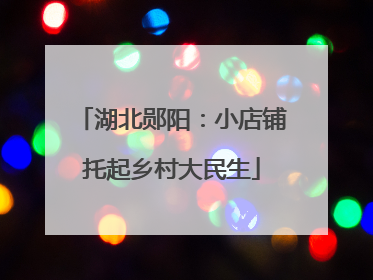 湖北郧阳：小店铺托起乡村大民生