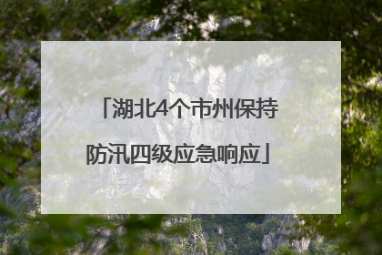 湖北4个市州保持防汛四级应急响应