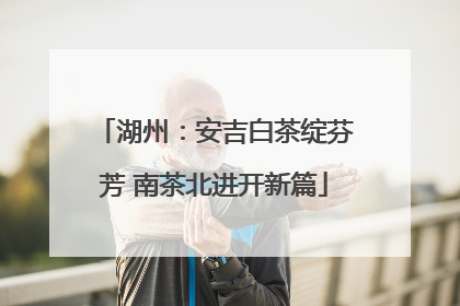湖州：安吉白茶绽芬芳 南茶北进开新篇