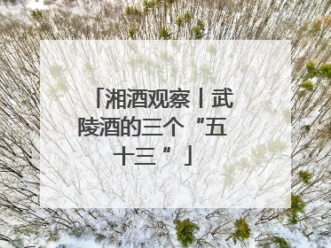 湘酒观察丨武陵酒的三个“五十三 ”