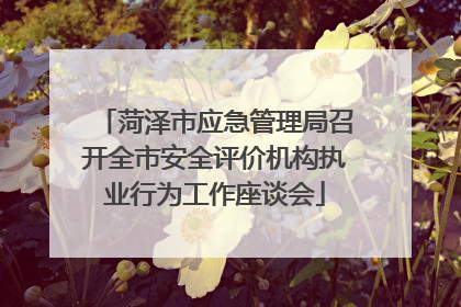 菏泽市应急管理局召开全市安全评价机构执业行为工作座谈会