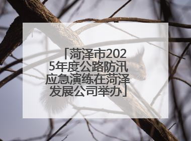 菏泽市2025年度公路防汛应急演练在菏泽发展公司举办