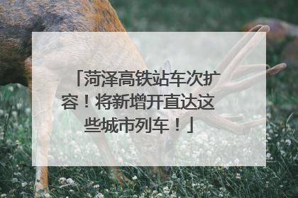 菏泽高铁站车次扩容！将新增开直达这些城市列车！