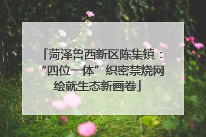 菏泽鲁西新区陈集镇：“四位一体”织密禁烧网 绘就生态新画卷