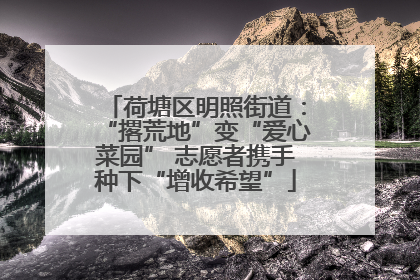 荷塘区明照街道：“撂荒地”变“爱心菜园” 志愿者携手种下“增收希望”