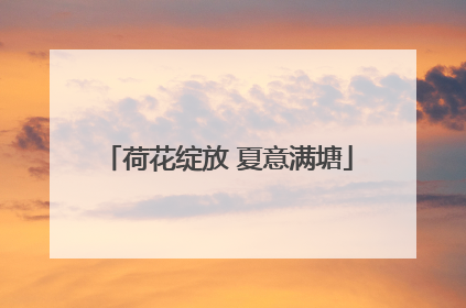 荷花绽放 夏意满塘