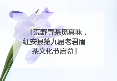 荒野寻茶觅真味，红安县第九届老君眉茶文化节启幕