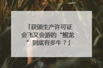 获颁生产许可证 会飞又会游的“鲲龙”到底有多牛？