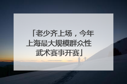 老少齐上场，今年上海最大规模群众性武术赛事开赛