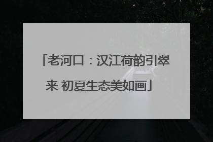 老河口：汉江荷韵引翠来 初夏生态美如画