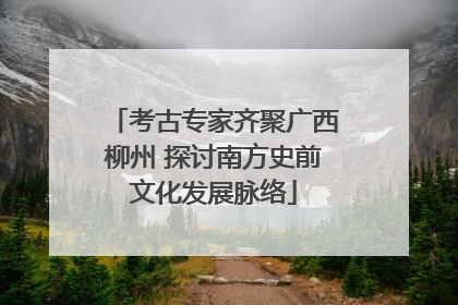 考古专家齐聚广西柳州 探讨南方史前文化发展脉络