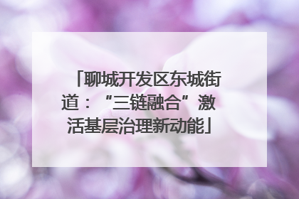 聊城开发区东城街道：“三链融合”激活基层治理新动能