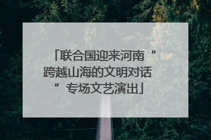 联合国迎来河南“跨越山海的文明对话”专场文艺演出