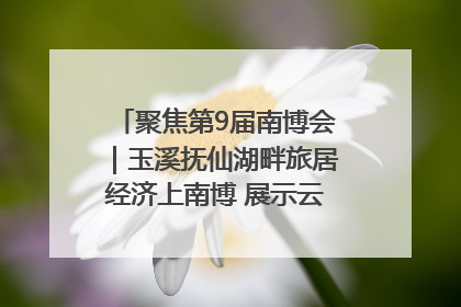 聚焦第9届南博会｜玉溪抚仙湖畔旅居经济上南博 展示云南生活新样本