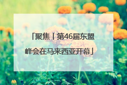 聚焦丨第46届东盟峰会在马来西亚开幕