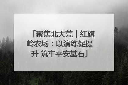 聚焦北大荒｜红旗岭农场：以演练促提升 筑牢平安基石