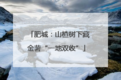 肥城：山楂树下藏金薯“一地双收”