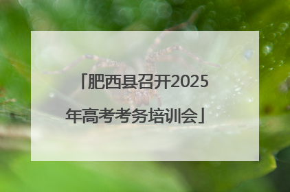 肥西县召开2025年高考考务培训会