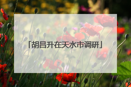 胡昌升在天水市调研