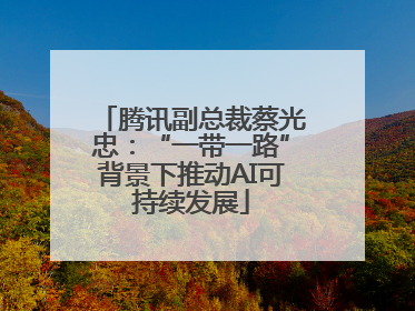 腾讯副总裁蔡光忠：“一带一路”背景下推动AI可持续发展
