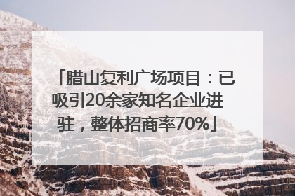 腊山复利广场项目：已吸引20余家知名企业进驻，整体招商率70%