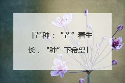 芒种：“芒”着生长，“种”下希望