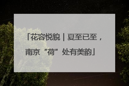 花容悦貌｜夏至已至，南京“荷”处有美韵