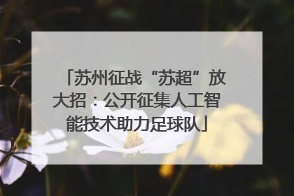 苏州征战“苏超”放大招：公开征集人工智能技术助力足球队