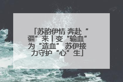 苏韵伊情 奔赴“疆”来丨变“输血”为“造血” 苏伊接力守护“心”生