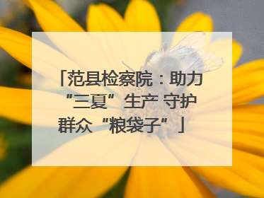 范县检察院：助力“三夏”生产 守护群众“粮袋子”