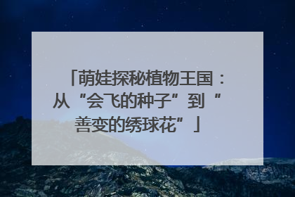 萌娃探秘植物王国：从“会飞的种子”到“善变的绣球花”