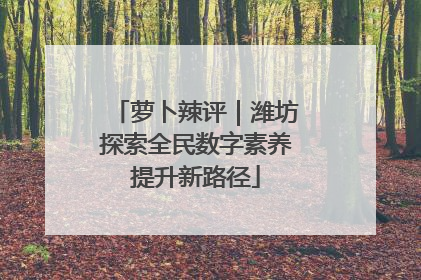 萝卜辣评｜潍坊探索全民数字素养提升新路径