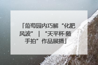 葡萄园内巧解“化肥风波”｜“天平杯·随手拍”作品展播