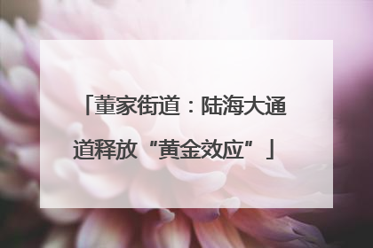 董家街道：陆海大通道释放“黄金效应”