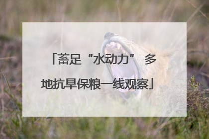 蓄足“水动力” 多地抗旱保粮一线观察
