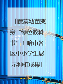 蔬菜幼苗变身“绿色教科书”！哈市各区中小学生展示种植成果