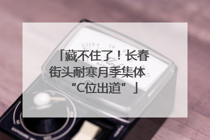 藏不住了！长春街头耐寒月季集体“C位出道”