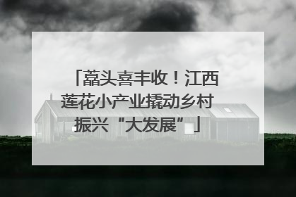 藠头喜丰收！江西莲花小产业撬动乡村振兴“大发展”