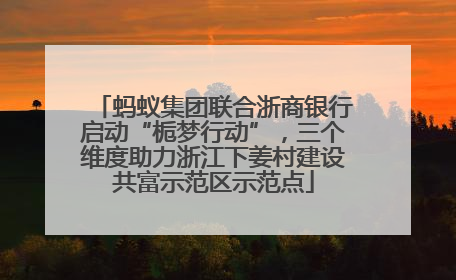 蚂蚁集团联合浙商银行启动“栀梦行动”，三个维度助力浙江下姜村建设共富示范区示范点