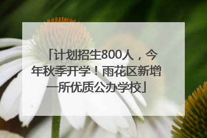计划招生800人，今年秋季开学！雨花区新增一所优质公办学校