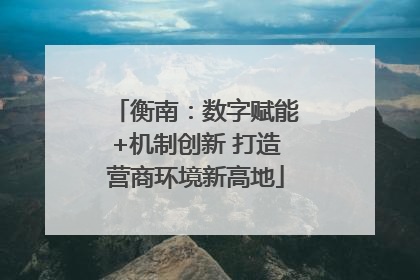 衡南：数字赋能+机制创新 打造营商环境新高地