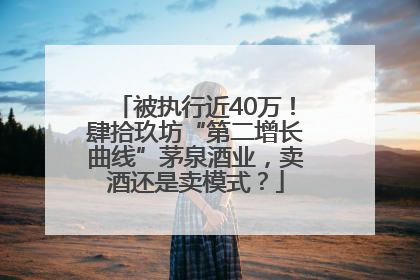 被执行近40万！肆拾玖坊“第二增长曲线”茅泉酒业，卖酒还是卖模式？